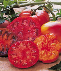 Heirloom Tomatoes